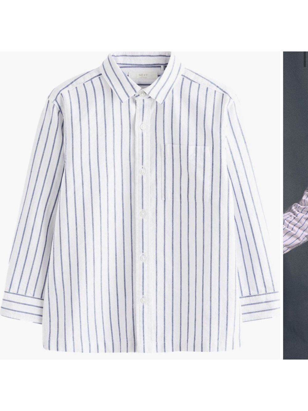 Striped Button down cotton oxford Shirt